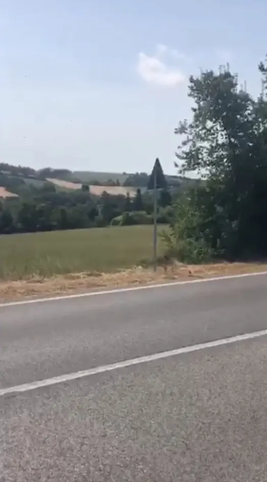 Terreno con potenzialità edificatorie a Gallo di Petriano – foto 1